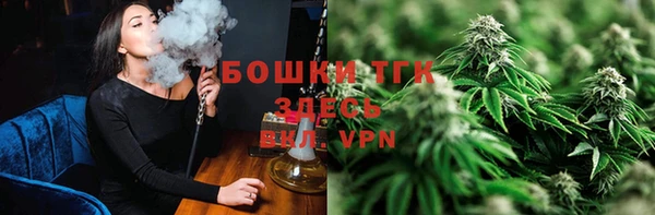 сатива Нягань