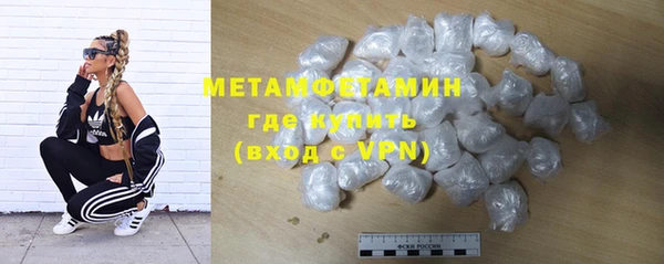 прущие грибы Новый Уренгой