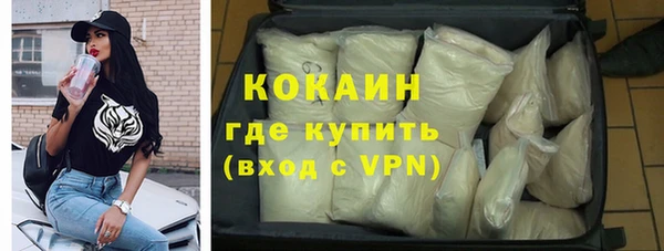 apvp Няндома