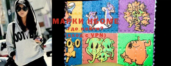 apvp Няндома