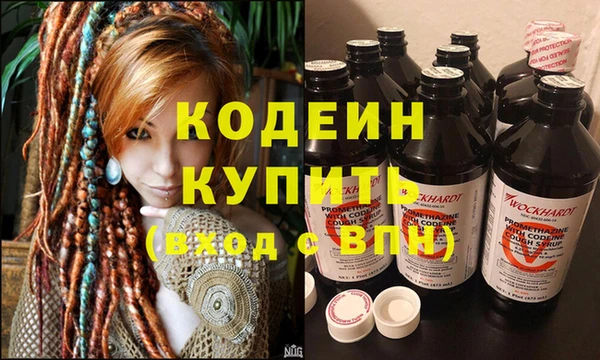 apvp Няндома