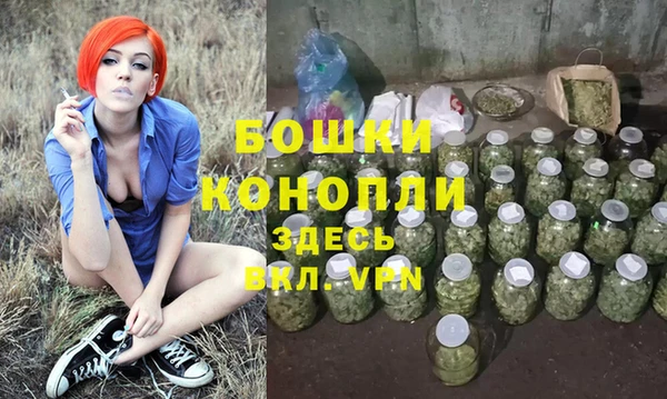 apvp Няндома