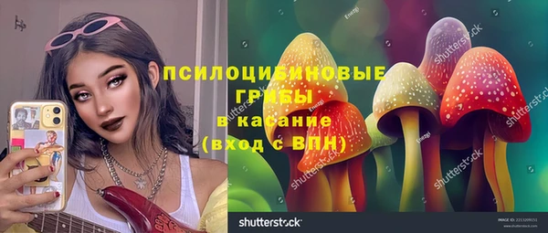 сатива Нягань