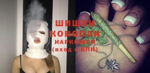сатива Нягань