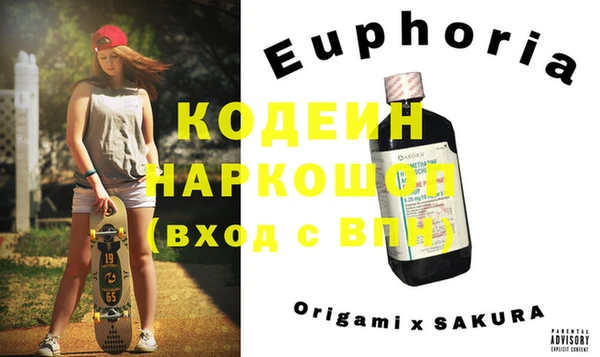 apvp Няндома