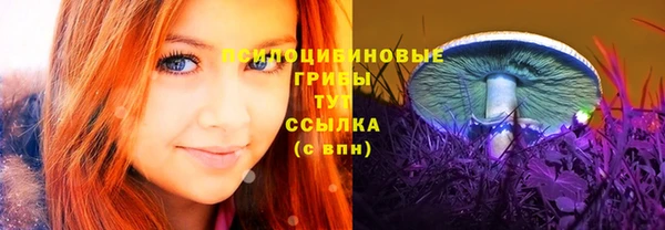 хмурый Нязепетровск