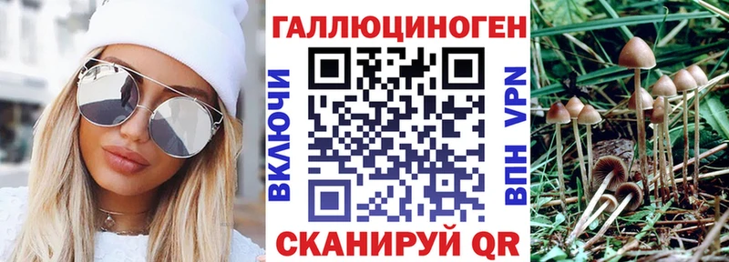 Галлюциногенные грибы Magic Shrooms  где можно купить   ОМГ ОМГ ссылка  Валдай 